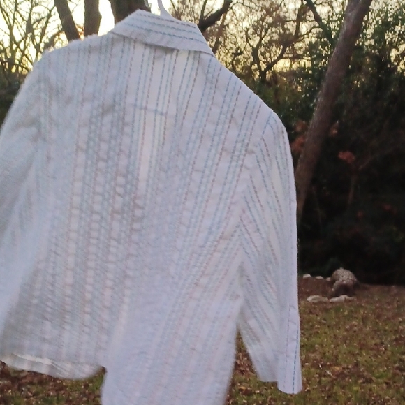 TanJay White Blazer with Blue and Brown Stripes - Picture 3 of 3